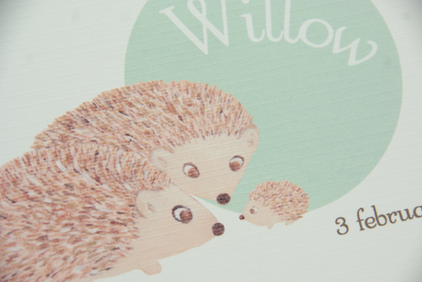 geboortekaartje willow lichtgroen